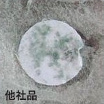 抗菌試験2