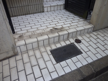 クリーニング前のシロッコファン