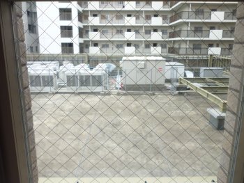 クリーニング後の窓ガラス
