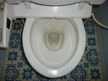 クリーニング前のトイレ