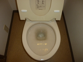 クリーニング後の全体
