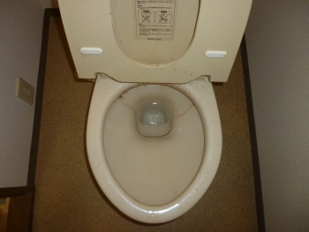 クリーニング前の全体