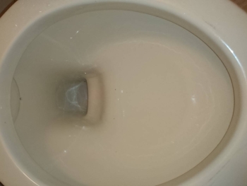 クリーニング後の便器1