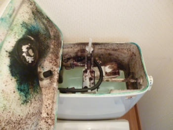 クリーニング前のタンク内(オプション)
