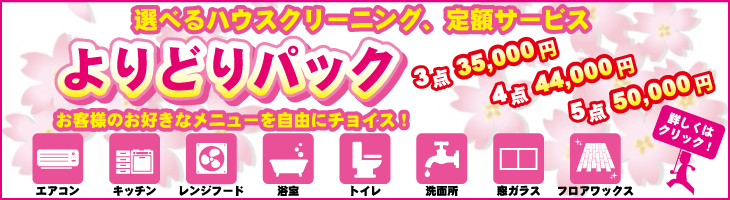 よりどりパック
