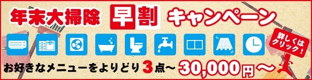 sp_japan_bnr_campaign_2015nenmatsu_hayawari_620x160